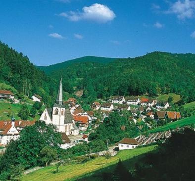 Flair Hotel Adlerbad Bad Peterstal-Griesbach Exterior photo